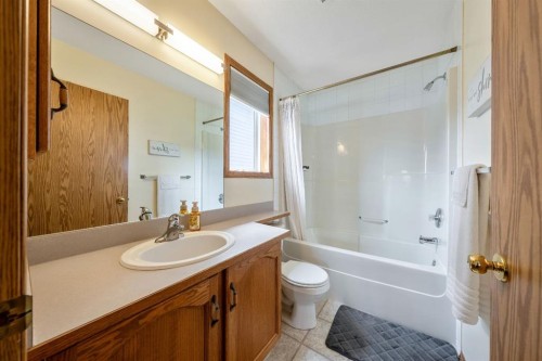 142 Coventry View Ne, Calgary, AB - Indoor Photo Showing Bathroom