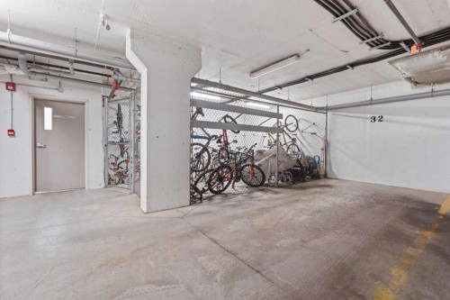3402-181 Skyview Ranch Manor Ne, Calgary, AB - Indoor Photo Showing Garage