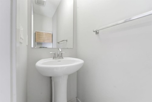 9060 52 Street Ne, Calgary, AB - Indoor Photo Showing Bathroom