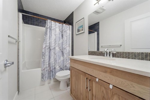 9060 52 Street Ne, Calgary, AB - Indoor Photo Showing Bathroom