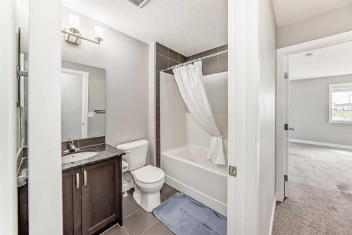 301 Midtown Gate Sw, Airdrie, AB - Indoor Photo Showing Bathroom