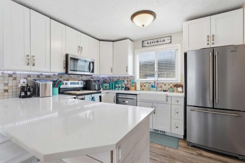 51 Aberdare Way Ne, Calgary, AB - Indoor Photo Showing Kitchen With Upgraded Kitchen