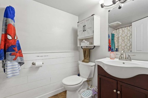 51 Aberdare Way Ne, Calgary, AB - Indoor Photo Showing Bathroom