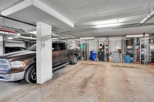 3102-175 Silverado Boulevard Sw, Calgary, AB - Indoor Photo Showing Garage