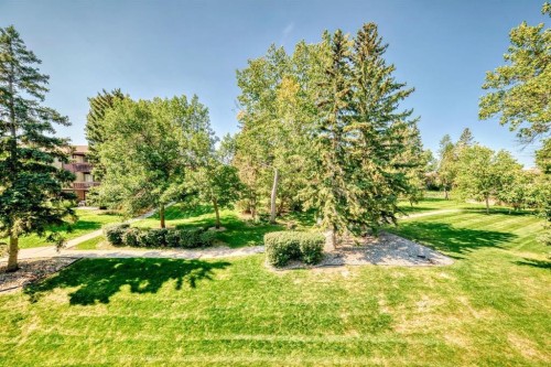 382-8948 Elbow Drive Sw, Calgary, AB - Outdoor