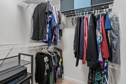 202 Auburn Bay Circle Se, Calgary, AB - Indoor With Storage