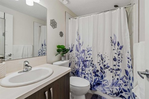 202 Auburn Bay Circle Se, Calgary, AB - Indoor Photo Showing Bathroom