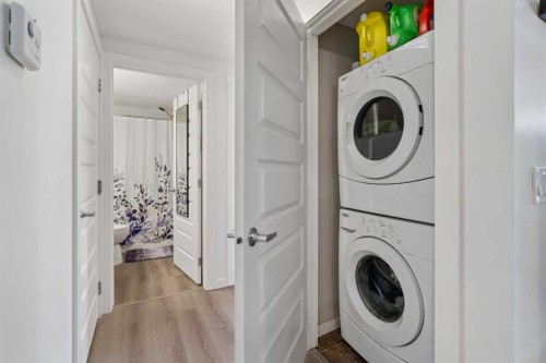 202 Auburn Bay Circle Se, Calgary, AB - Indoor Photo Showing Laundry Room