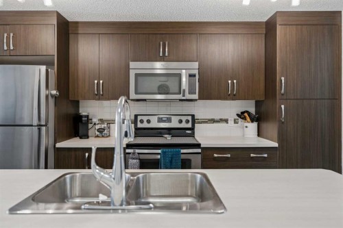 202 Auburn Bay Circle Se, Calgary, AB - Indoor Photo Showing Kitchen With Double Sink