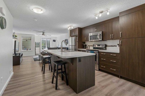 202 Auburn Bay Circle Se, Calgary, AB - Indoor Photo Showing Kitchen With Upgraded Kitchen