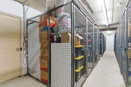 210-69 Springborough Court Sw, Calgary, AB - Indoor
