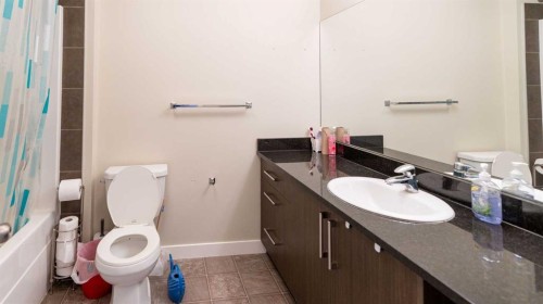 347 Taralake Way Ne, Calgary, AB - Indoor Photo Showing Bathroom