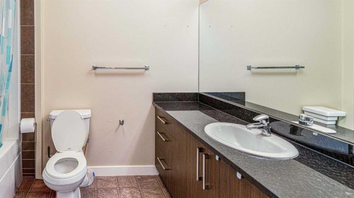 347 Taralake Way Ne, Calgary, AB - Indoor Photo Showing Bathroom