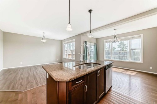 196 Cranberry Circle Se, Calgary, AB - Indoor Photo Showing Kitchen With Double Sink