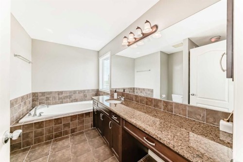 196 Cranberry Circle Se, Calgary, AB - Indoor Photo Showing Bathroom