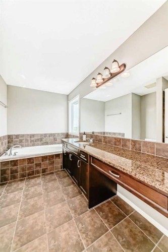 196 Cranberry Circle Se, Calgary, AB - Indoor Photo Showing Bathroom