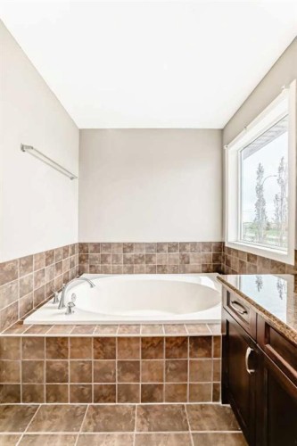 196 Cranberry Circle Se, Calgary, AB - Indoor Photo Showing Bathroom