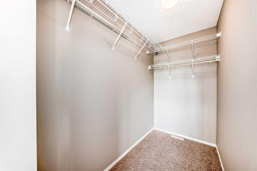 196 Cranberry Circle Se, Calgary, AB - Indoor With Storage