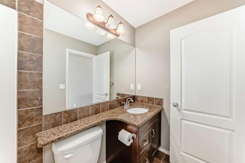 196 Cranberry Circle Se, Calgary, AB - Indoor Photo Showing Bathroom