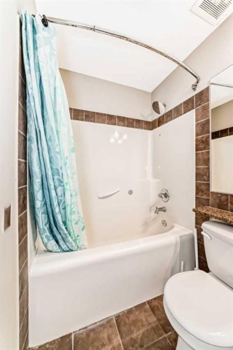 196 Cranberry Circle Se, Calgary, AB - Indoor Photo Showing Bathroom