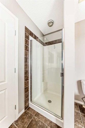 196 Cranberry Circle Se, Calgary, AB - Indoor Photo Showing Bathroom