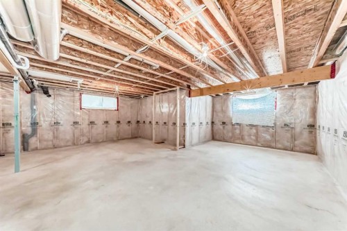 196 Cranberry Circle Se, Calgary, AB - Indoor Photo Showing Basement