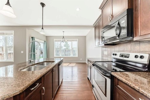196 Cranberry Circle Se, Calgary, AB - Indoor Photo Showing Kitchen With Double Sink