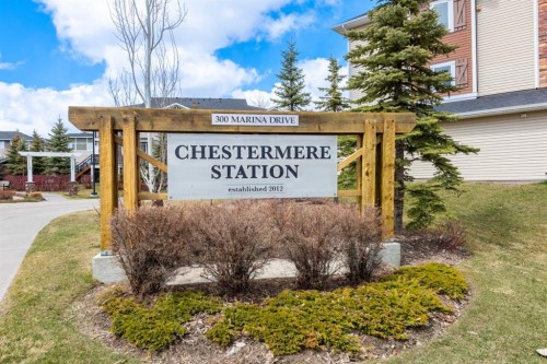 82-300 Marina Drive, Chestermere, AB - Outdoor