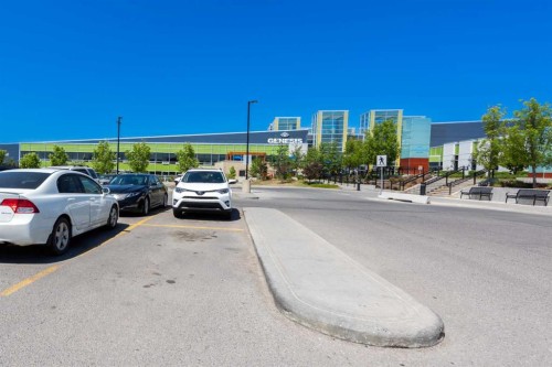 276 Taralake Terrace Ne, Calgary, AB 