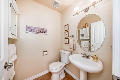 243 Mt Assiniboine Circle Se, Calgary, AB - Indoor Photo Showing Bathroom