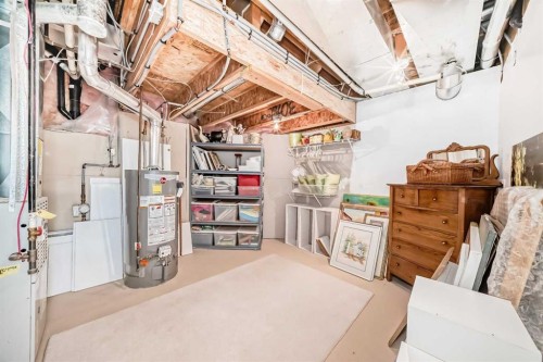 243 Mt Assiniboine Circle Se, Calgary, AB - Indoor Photo Showing Basement