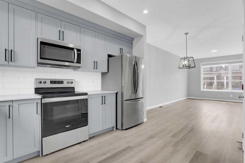 228 Cornerstone Grove Ne, Calgary, AB - Indoor Photo Showing Kitchen With Upgraded Kitchen