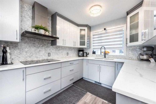 23 Falsby Place Ne, Calgary, AB - Indoor Photo Showing Kitchen