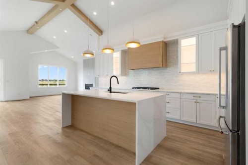 267 Muirfield Crescent, Lyalta, AB - Indoor Photo Showing Kitchen With Upgraded Kitchen