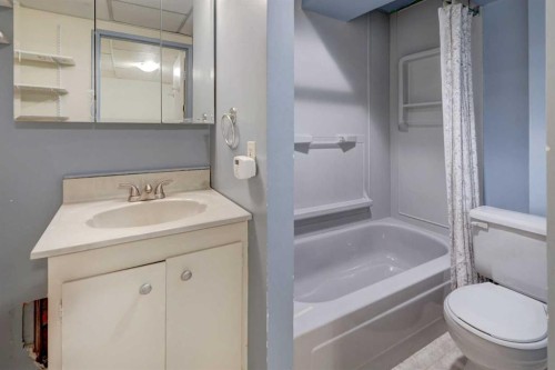 82 Point Drive Nw, Calgary, AB - Indoor Photo Showing Bathroom