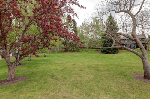 82 Point Drive Nw, Calgary, AB - Outdoor