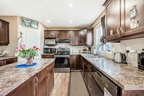 1066 Taradale Drive Ne, Calgary, AB - Indoor Photo Showing Kitchen With Double Sink With Upgraded Kitchen