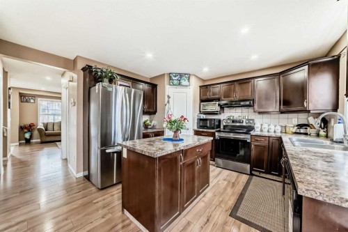 1066 Taradale Drive Ne, Calgary, AB - Indoor Photo Showing Kitchen With Double Sink With Upgraded Kitchen
