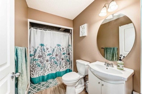 1066 Taradale Drive Ne, Calgary, AB - Indoor Photo Showing Bathroom