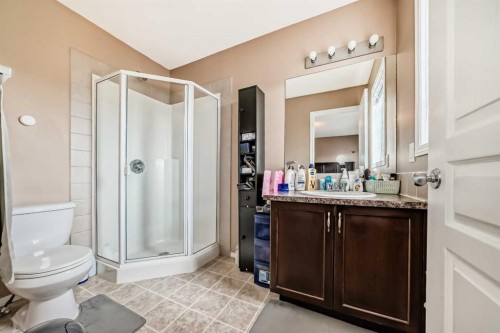 1066 Taradale Drive Ne, Calgary, AB - Indoor Photo Showing Bathroom