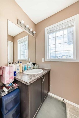 1066 Taradale Drive Ne, Calgary, AB - Indoor Photo Showing Bathroom