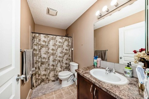 1066 Taradale Drive Ne, Calgary, AB - Indoor Photo Showing Bathroom