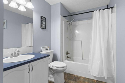202 Willowbrook Close Nw, Airdrie, AB - Indoor Photo Showing Bathroom