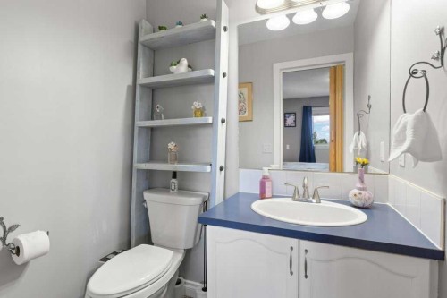 202 Willowbrook Close Nw, Airdrie, AB - Indoor Photo Showing Bathroom
