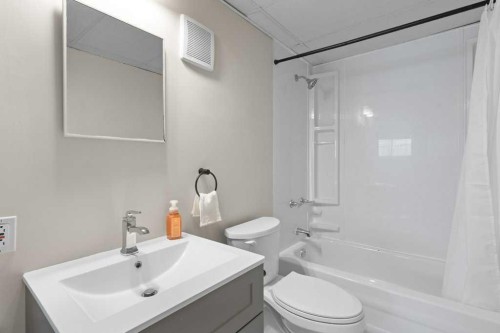 202 Willowbrook Close Nw, Airdrie, AB - Indoor Photo Showing Bathroom