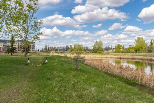 202 Willowbrook Close Nw, Airdrie, AB - Outdoor With View
