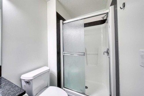 106 Sage Meadows Way Nw, Calgary, AB - Indoor Photo Showing Bathroom