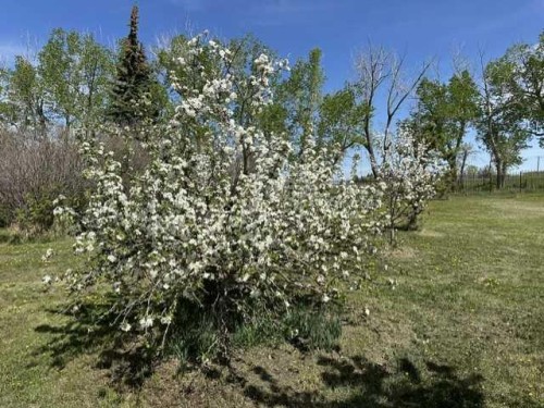 32276 Highway 2 A, Rural Mountain View County, AB 
