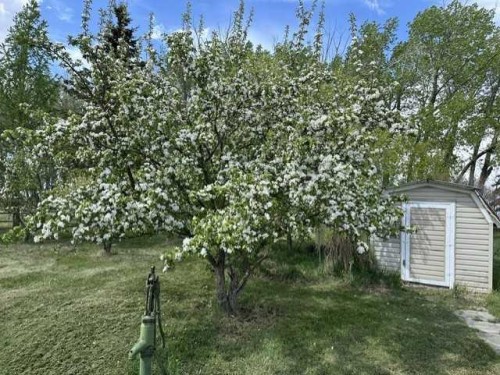 32276 Highway 2 A, Rural Mountain View County, AB 