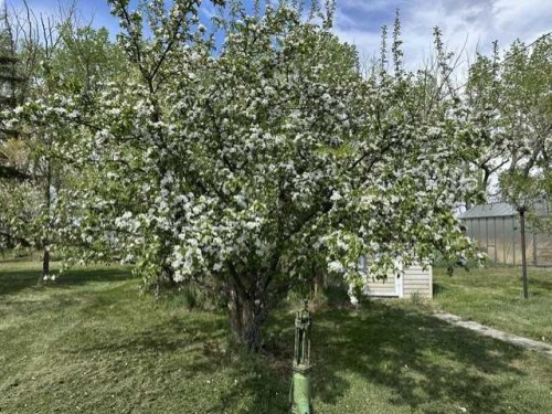 32276 Highway 2 A, Rural Mountain View County, AB 